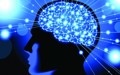 The state was one of great clarity, in my mind there was no more thoughts