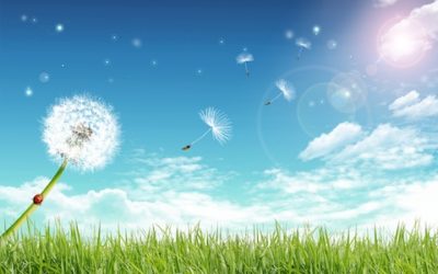 A subtle “wind” was gathering all kinds of debris and dirt from our auras